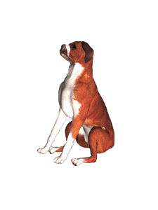 Gif animé bonjour chien